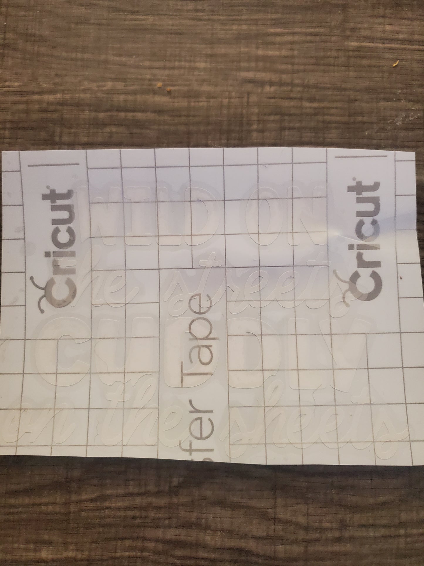 Wild and Cuddly Decal