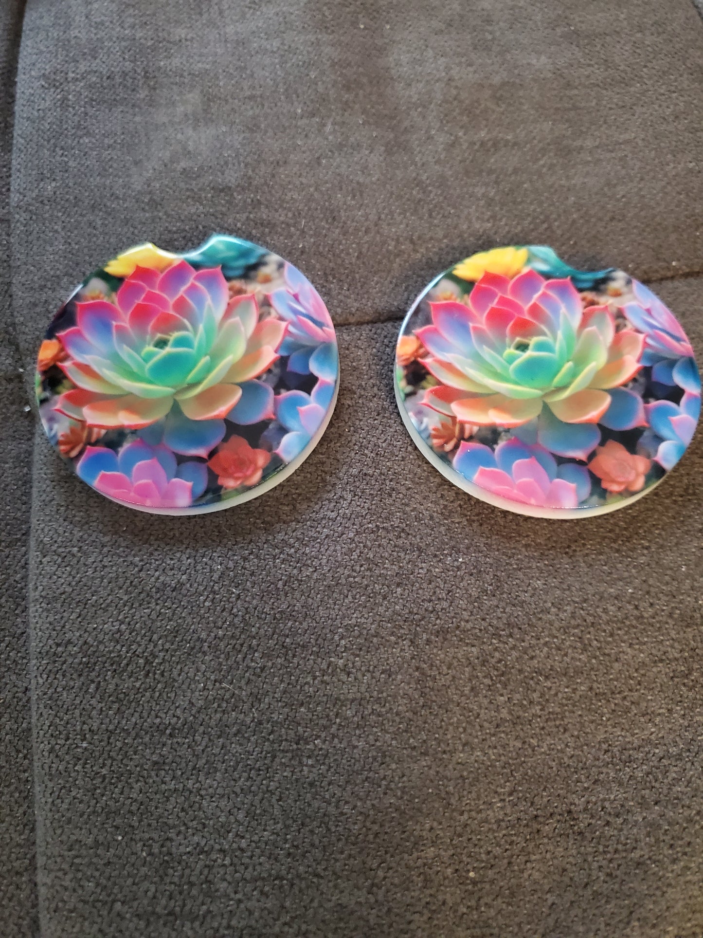Succulent Car Coaster